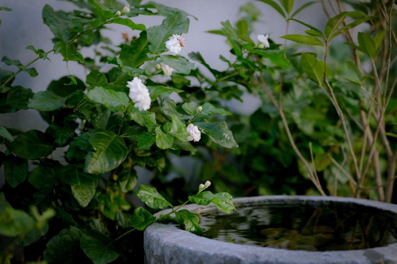 The Purple Hue Homestay Ngoại thất bức ảnh