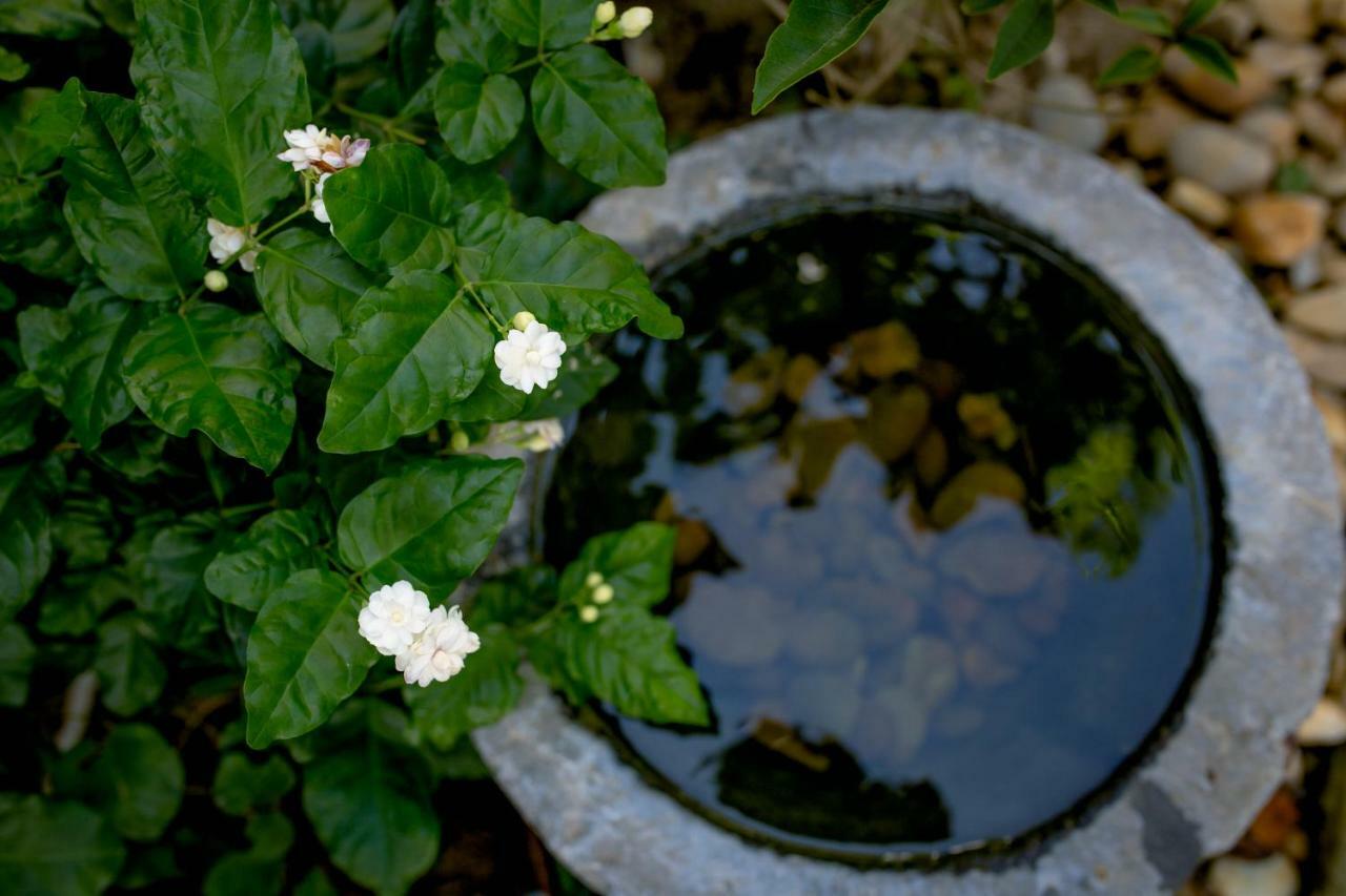 The Purple Hue Homestay Ngoại thất bức ảnh